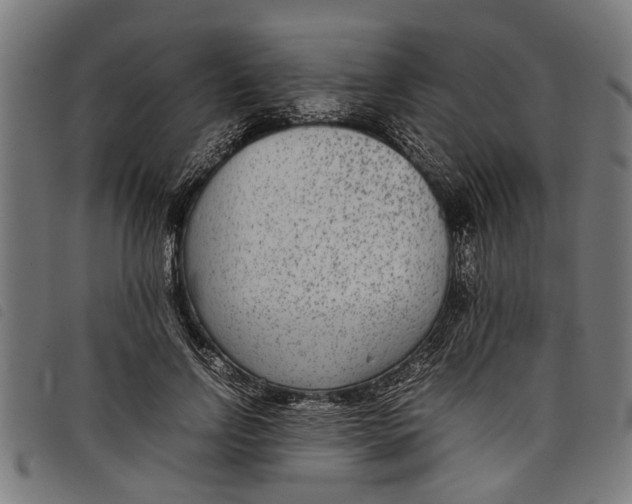 X0000097800742200804041314