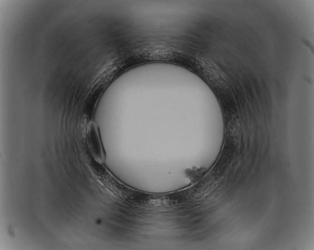 X0000097800744200804041314