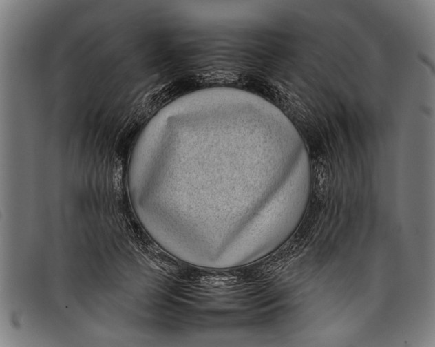 X0000097800745200804041314