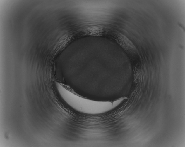 X0000097800748200804041314