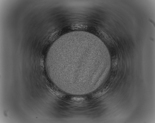 X0000097800749200804041314