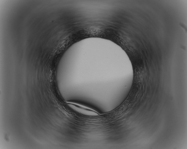 X0000097800750200804041314