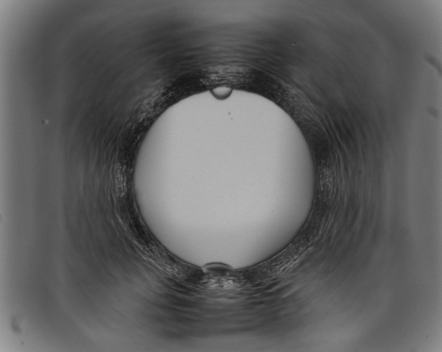 X0000097800751200804041314