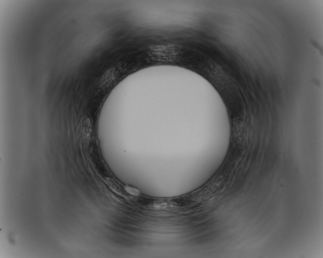 X0000097800752200804041314