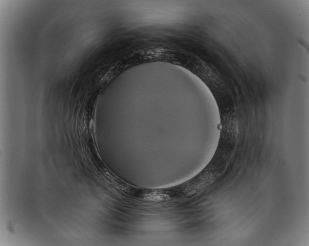 X0000097800754200804041314