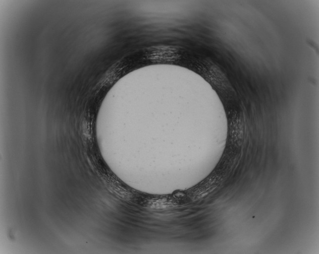 X0000097800755200804041314