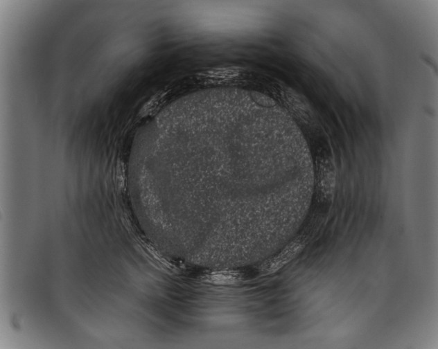 X0000097800758200804041314