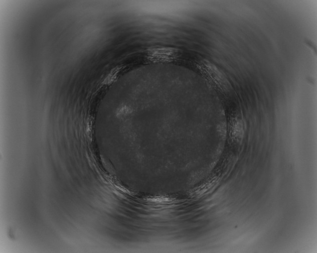 X0000097800759200804041314