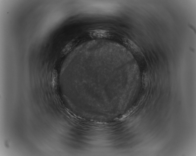 X0000097800760200804041314