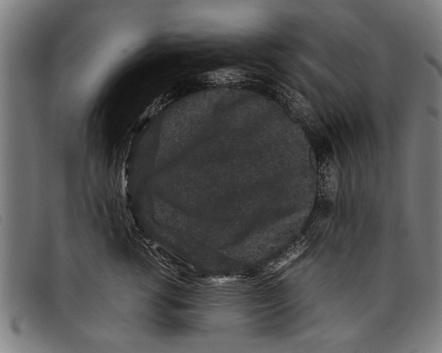 X0000097800762200804041314