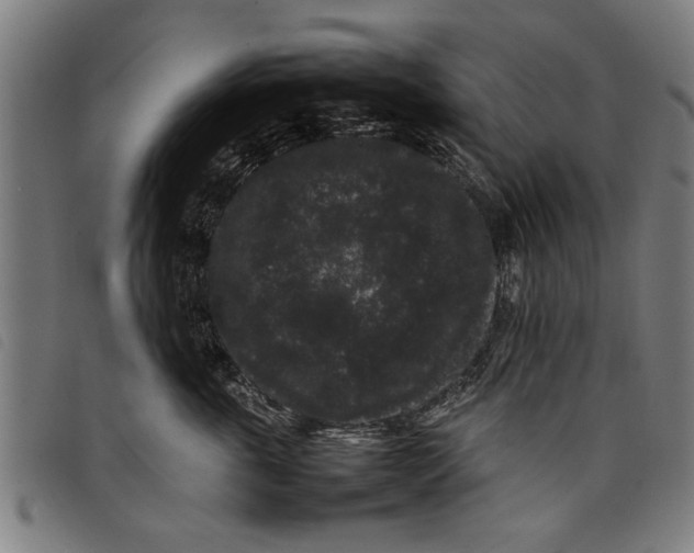 X0000097800763200804041314