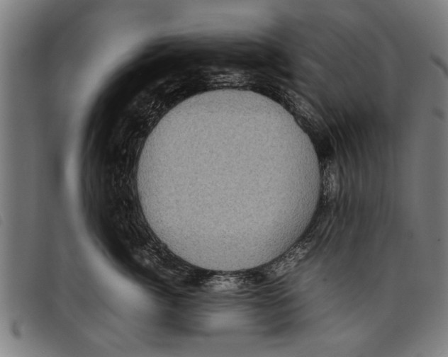 X0000097800764200804041314