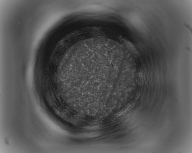 X0000097800765200804041314