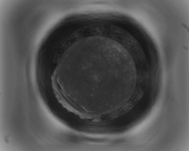 X0000097800766200804041314