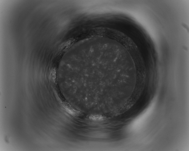 X0000097800767200804041314