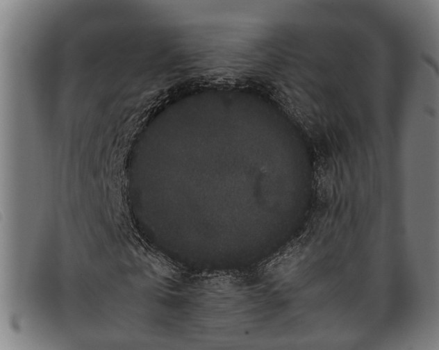 X0000097800769200804041313