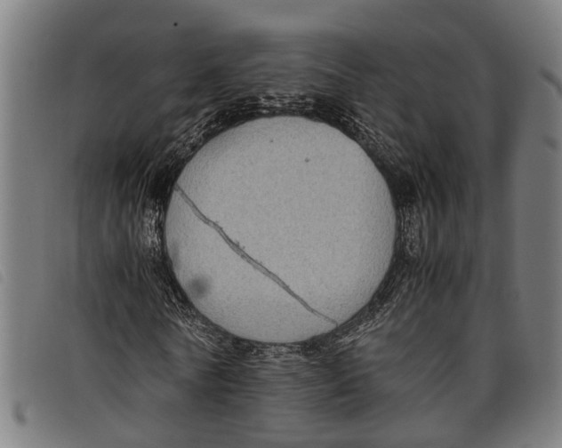 X0000097800770200804041313