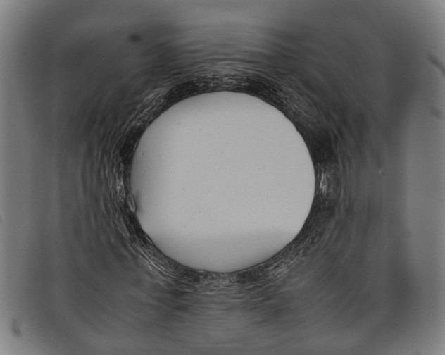 X0000097800771200804041313