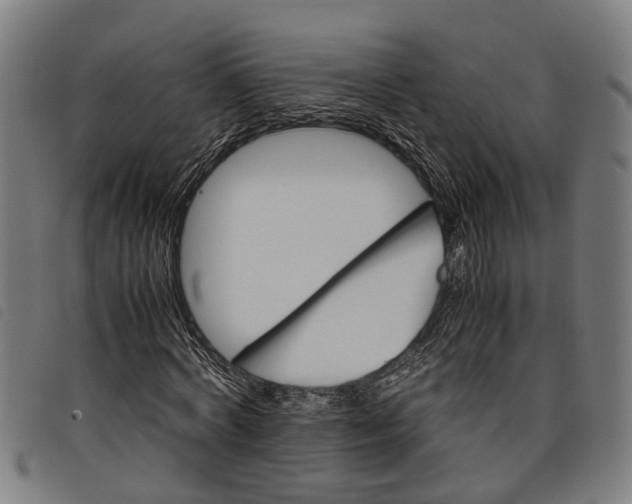 X0000097800772200804041313