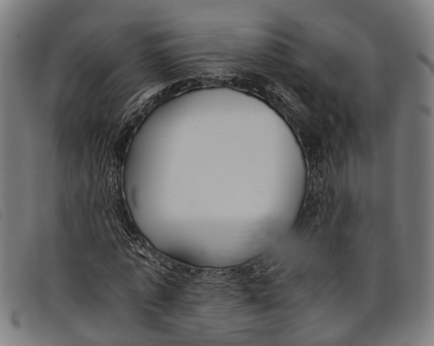 X0000097800773200804041313