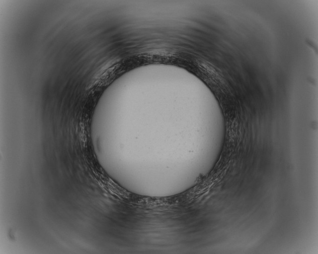 X0000097800774200804041313