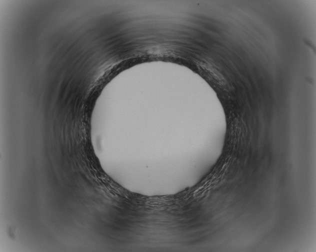 X0000097800776200804041313