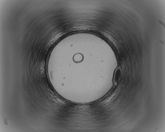 X0000097800778200804041313