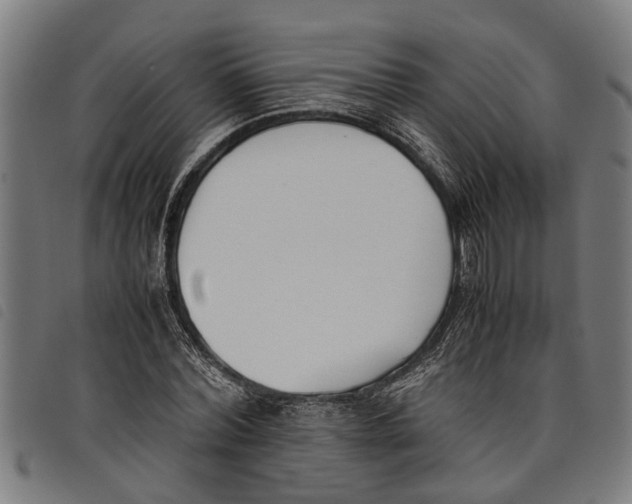 X0000097800780200804041313