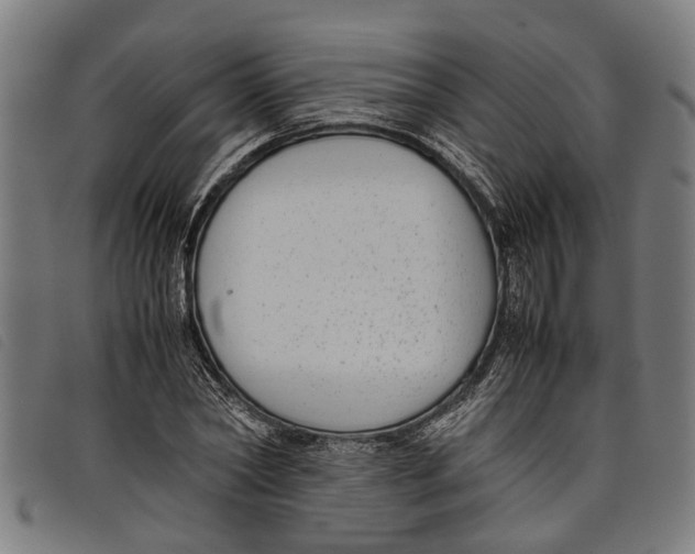 X0000097800782200804041313