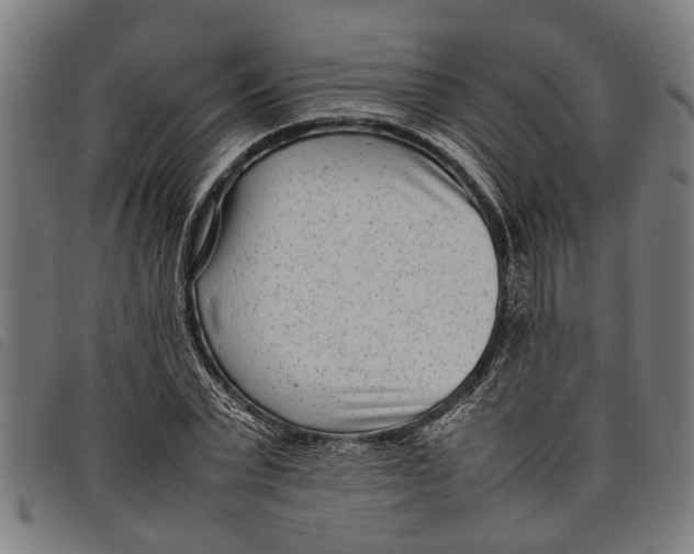 X0000097800783200804041313