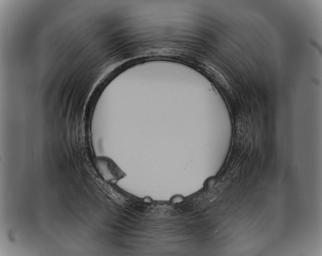 X0000097800784200804041313