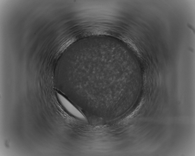 X0000097800785200804041313