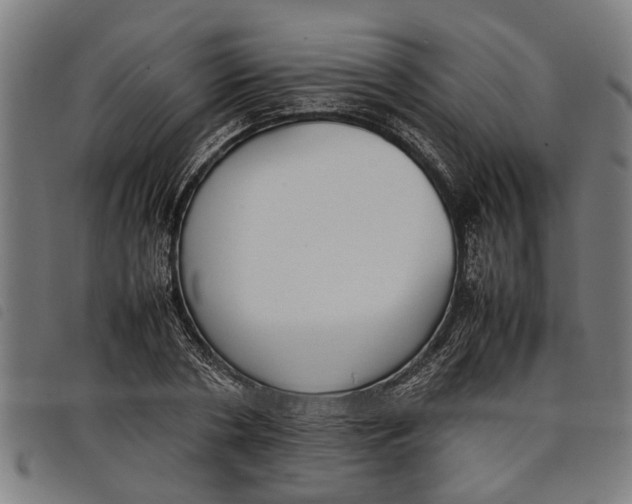 X0000097800786200804041313