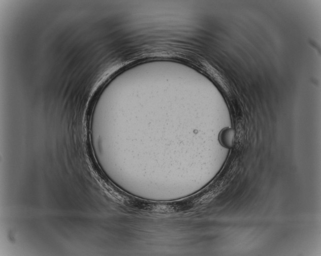 X0000097800787200804041313