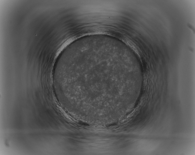 X0000097800789200804041313