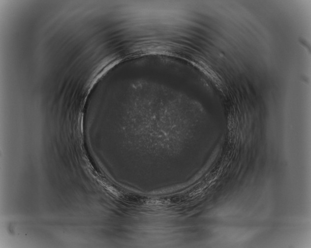 X0000097800790200804041313