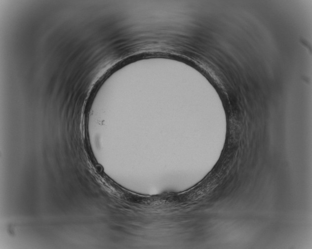 X0000097800791200804041313