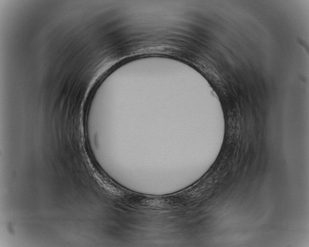 X0000097800792200804041313