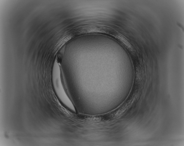 X0000097800793200804041313