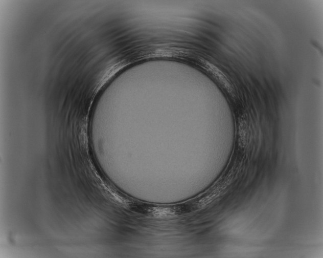 X0000097800794200804041313