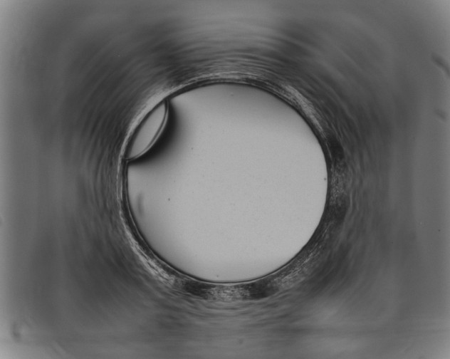 X0000097800795200804041313