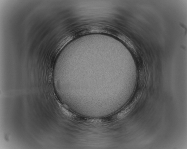 X0000097800801200804041313