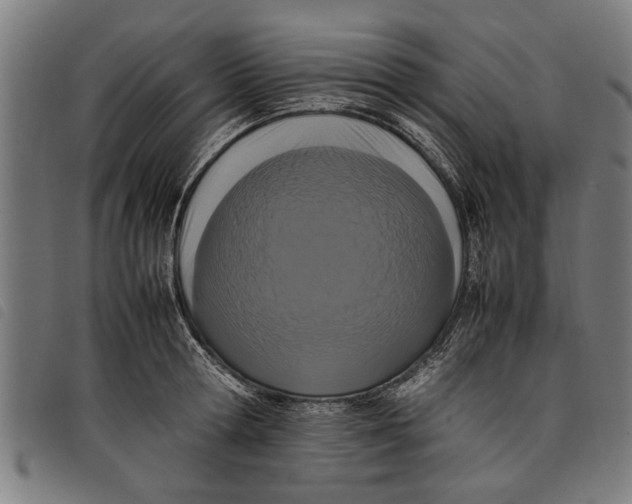 X0000097800802200804041313