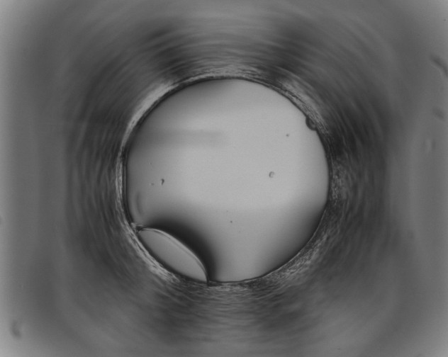 X0000097800804200804041313