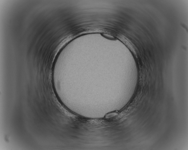 X0000097800805200804041313