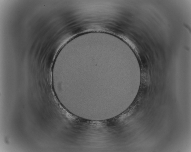 X0000097800807200804041313