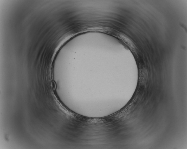 X0000097800808200804041313