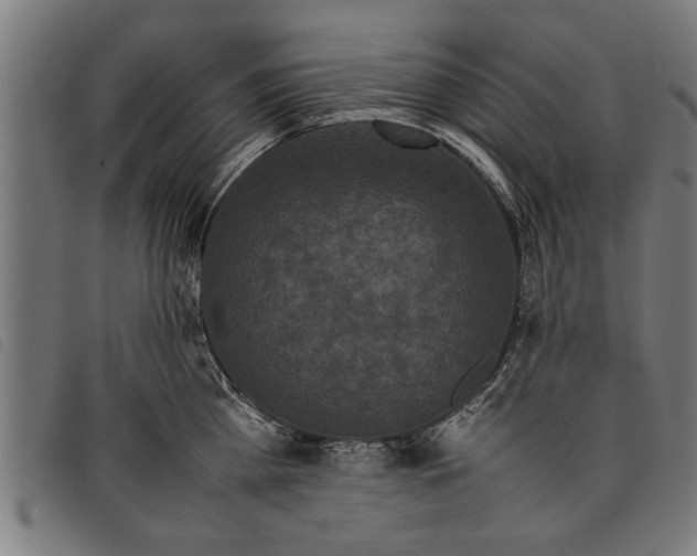 X0000097800809200804041313