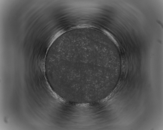 X0000097800810200804041313