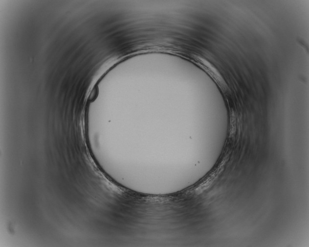 X0000097800812200804041313